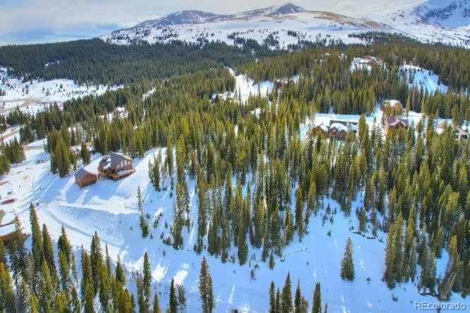 413 Carroll Ln, Breckenridge, CO 80424