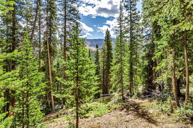 413 Carroll Ln, Breckenridge, CO 80424