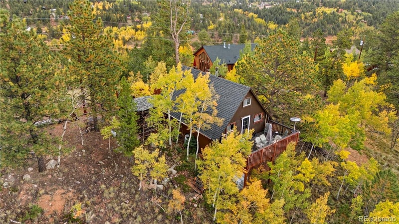 229 Mcdougal Rd, Bailey, CO 80421