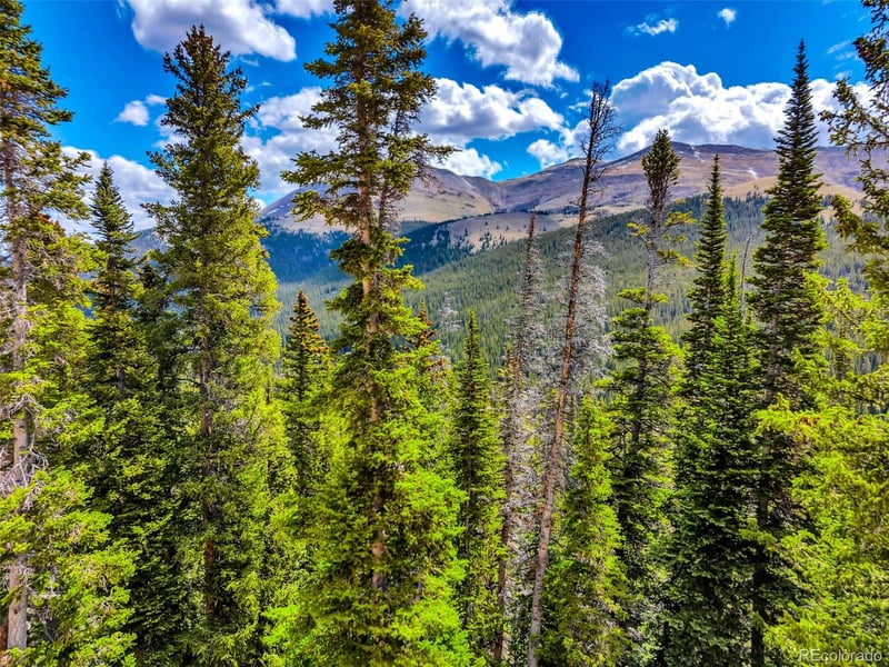 105 - 71 Quandary View Ln Lot 21R & 22, Breckenridge, CO 80424