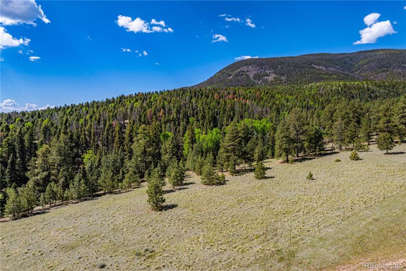 298 Steven Rd, Canon City, CO 81212