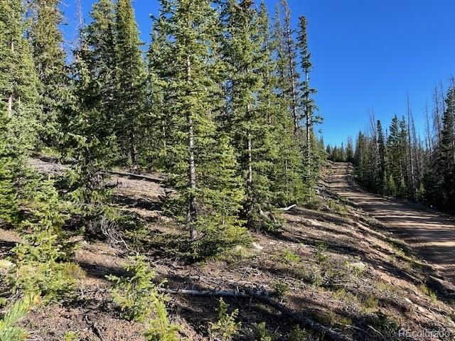 Lot 6525 Schlueter Rd, San Luis, CO 81152