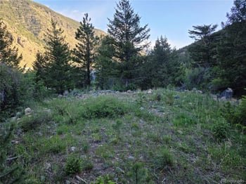 1784 Main, Georgetown, CO 80444