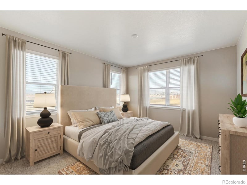 1004 Annelles Pool Ln, Severance, CO 80550