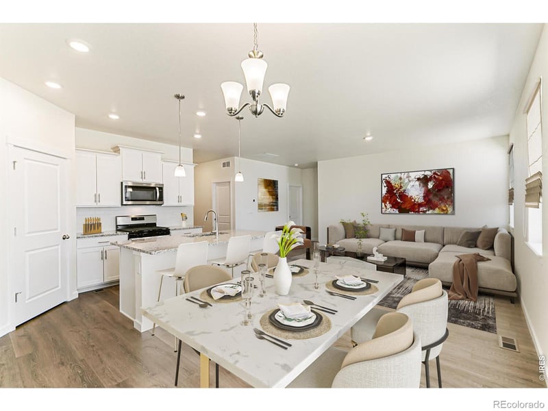 1004 Annelles Pool Ln, Severance, CO 80550