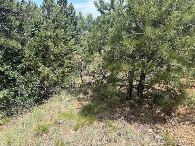 358 Sugarloaf, Manitou Springs, CO 80829