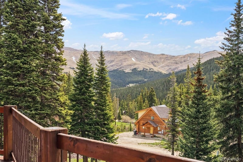 229 Lee Ln, Breckenridge, CO 80424