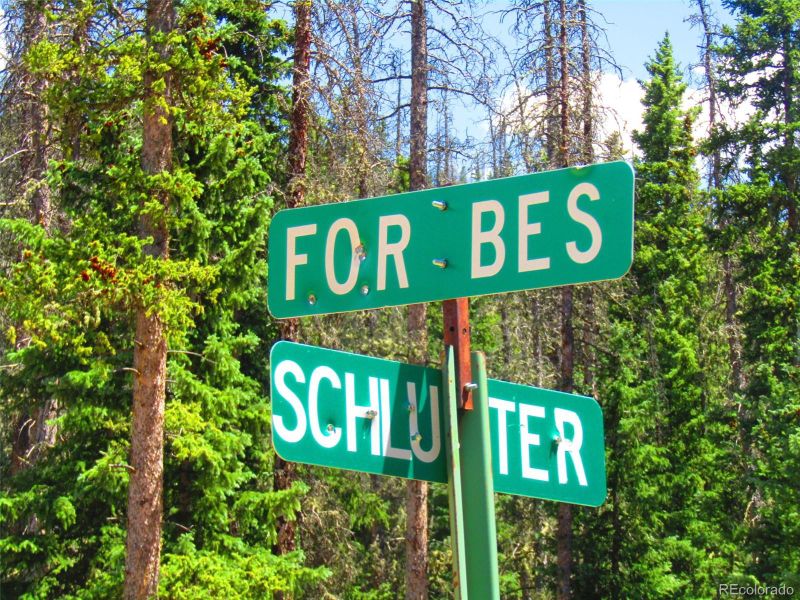 LOT 6617 Forbes, San Luis, CO 81152