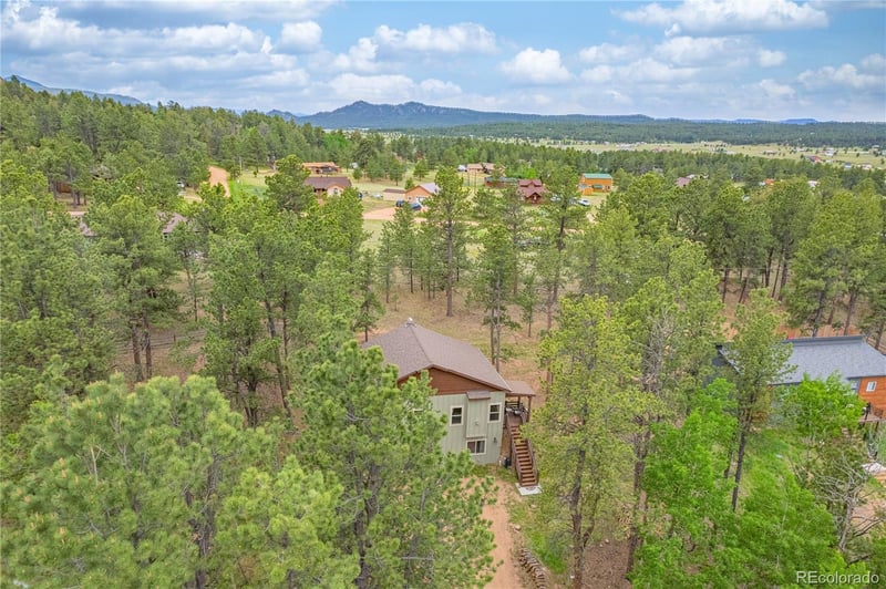 114 Homestead Ln, Florissant, CO 80816
