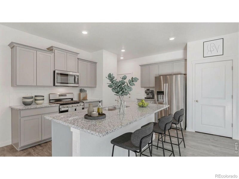 1002 Annelles Pool Ln, Severance, CO 80550