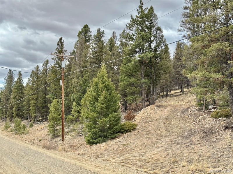 2403 Redhill Rd Lot 037, Fairplay, CO 80440