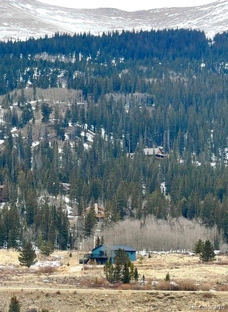 141 Quartzville Rd, Alma, CO 80420