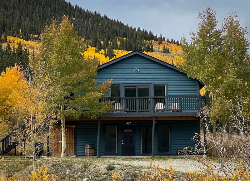 141 Quartzville Rd, Alma, CO 80420