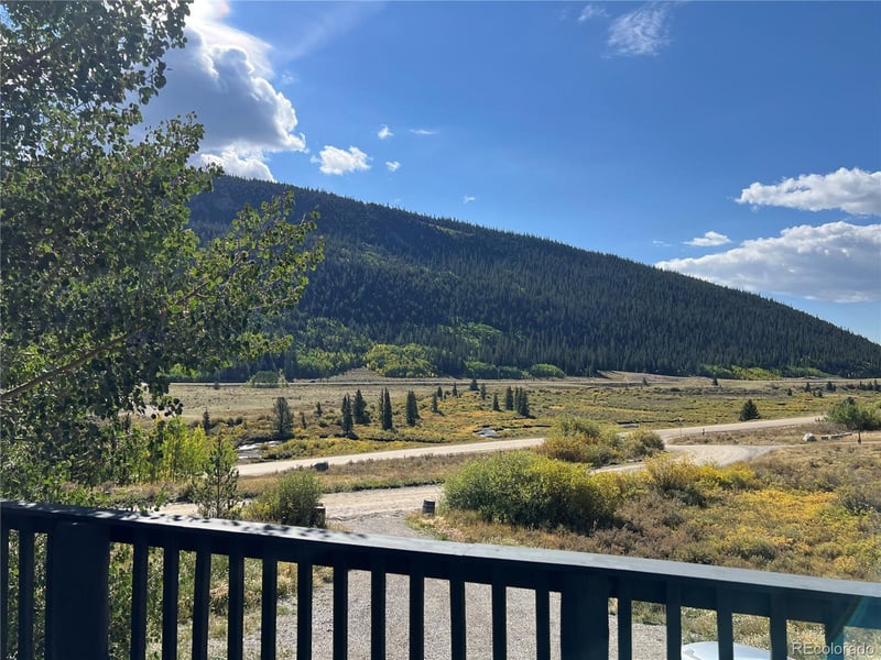 141 Quartzville Rd, Alma, CO 80420