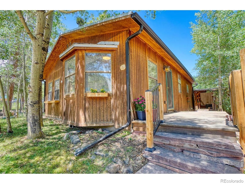 253 W Breed St, Nederland, CO 80466