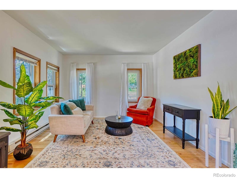 253 W Breed St, Nederland, CO 80466