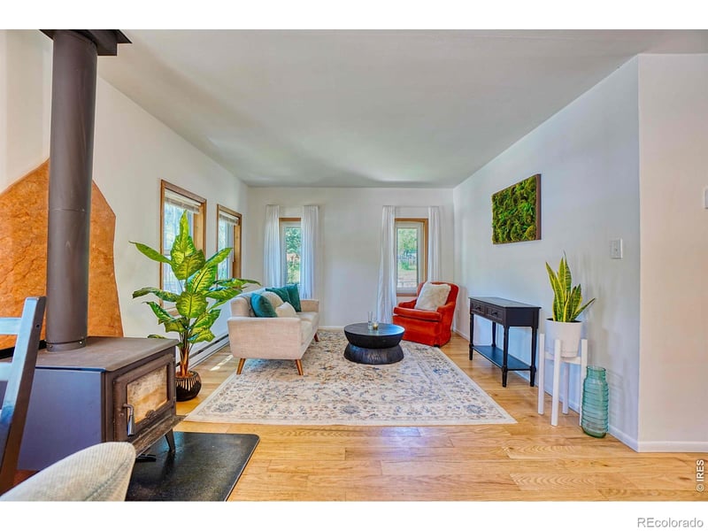 253 W Breed St, Nederland, CO 80466