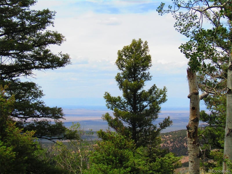 LOT 6029 Bruce Rd, San Luis, CO 81152