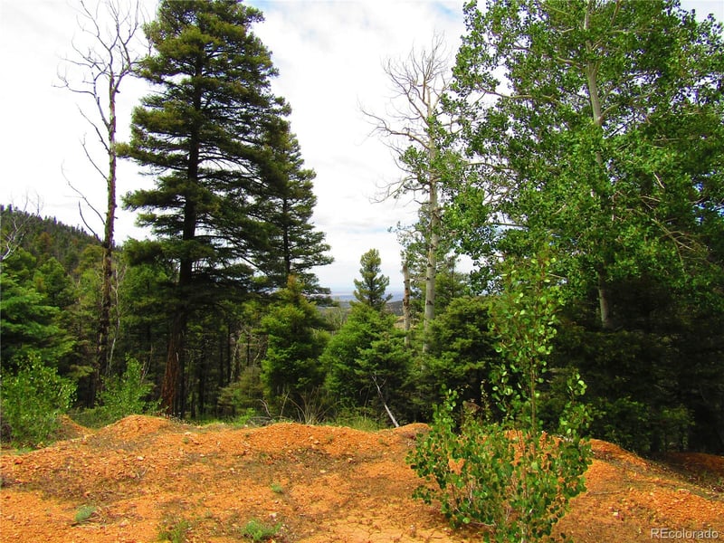 LOT 6029 Bruce Rd, San Luis, CO 81152