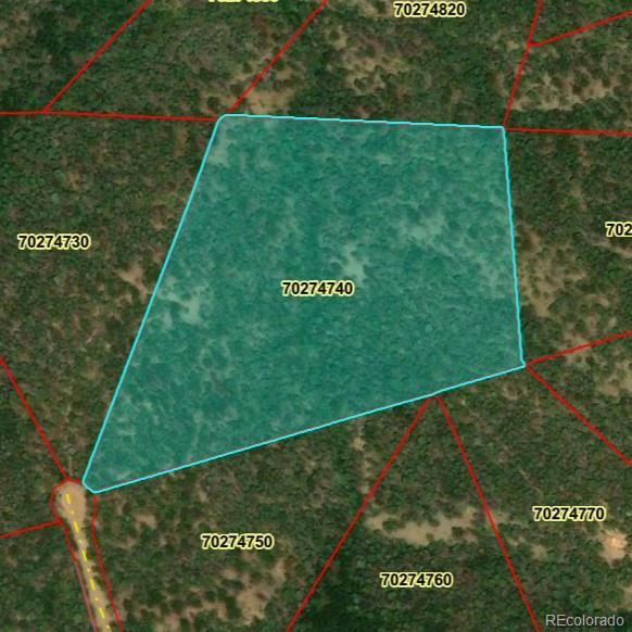 LOT 6029 Bruce Rd, San Luis, CO 81152