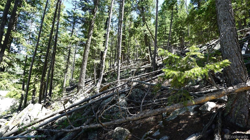 000 Saddleback Dr, Evergreen, CO 80439