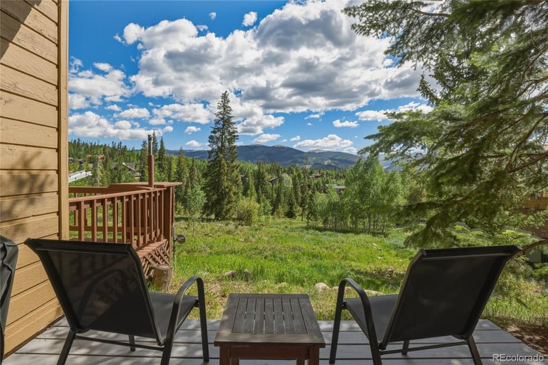 6726 Ryan Gulch Rd #6726, Silverthorne, CO 80498