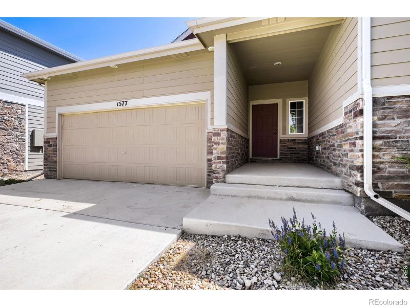 1577 First Light Dr, Windsor, CO 80550