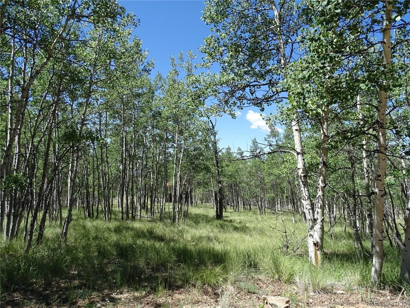 782 Bowstring Rd Lot 038, Como, CO 80432