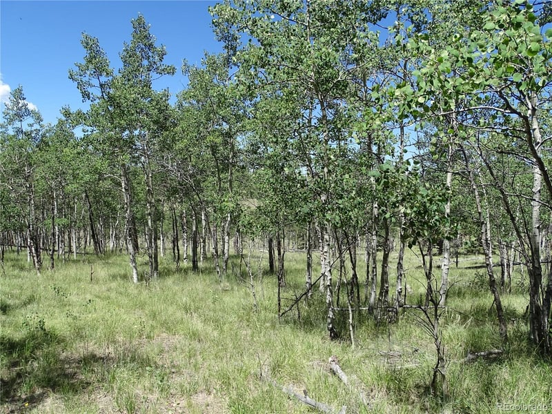 782 Bowstring Rd Lot 038, Como, CO 80432