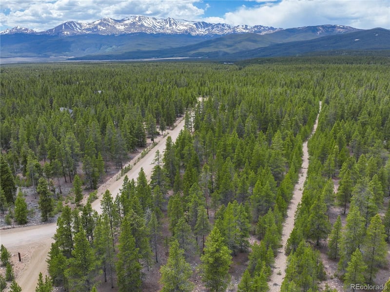 201 Snowshoe Rabbit Dr, Leadville, CO 80461