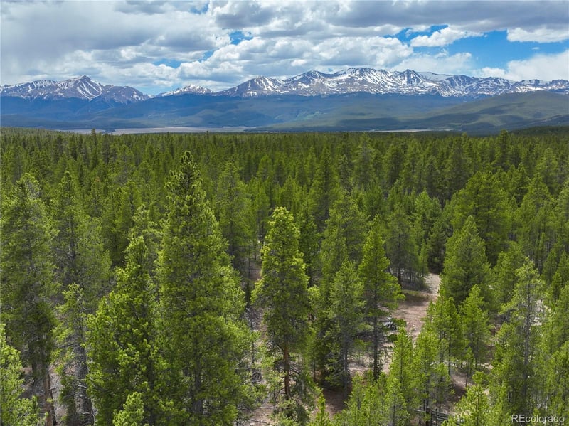 201 Snowshoe Rabbit Dr, Leadville, CO 80461