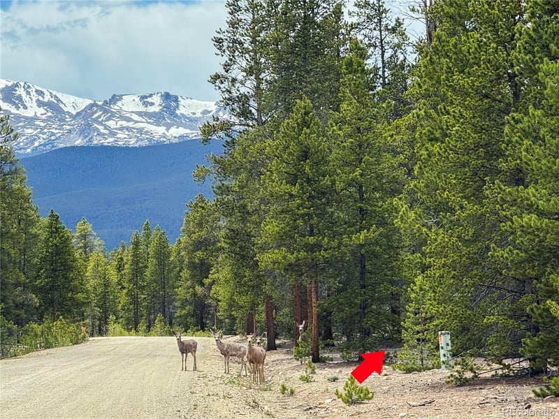 201 Snowshoe Rabbit Dr, Leadville, CO 80461
