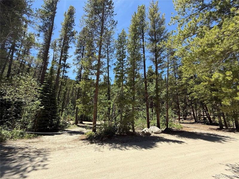 19 Rainbow Rd, Idaho Springs, CO 80452