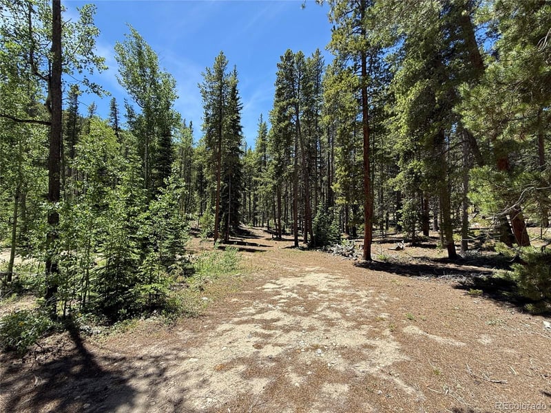 19 Rainbow Rd, Idaho Springs, CO 80452