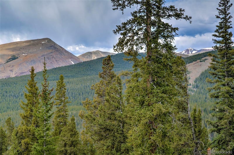790 Mountain View Dr, Fairplay, CO 80440
