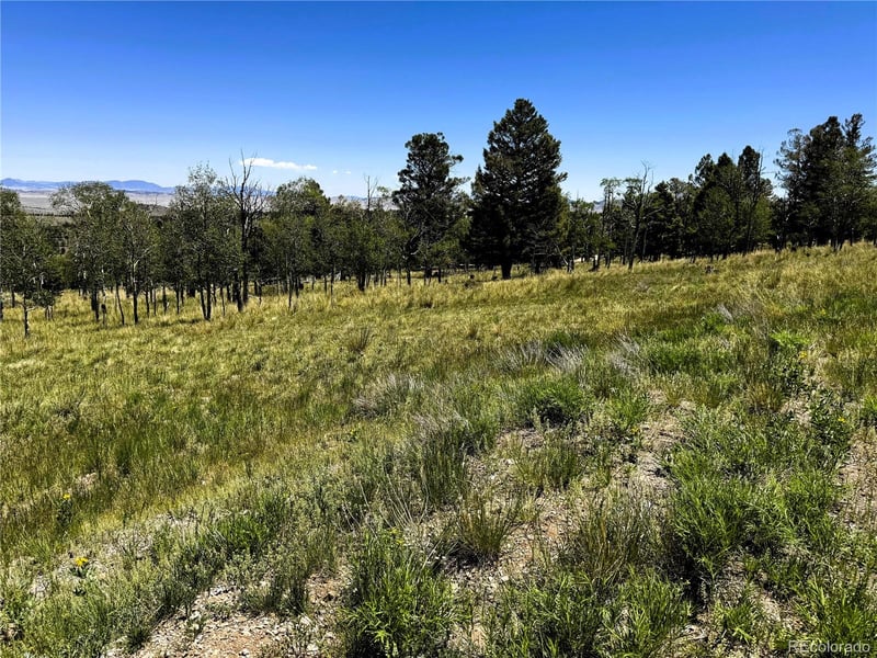 144 Kaufman Ct Lot 1213, Hartsel, CO 80449
