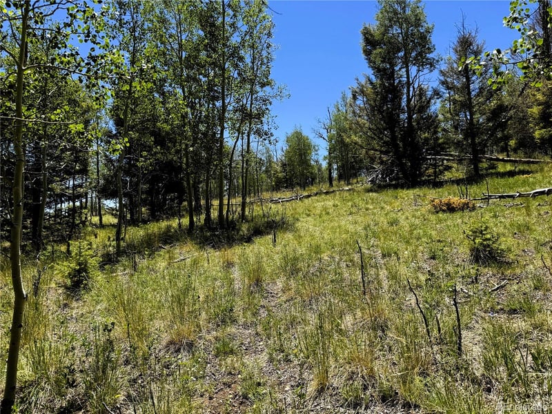 144 Kaufman Ct Lot 1213, Hartsel, CO 80449