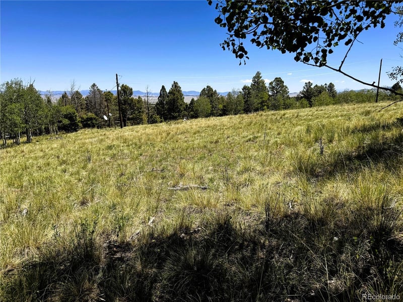 144 Kaufman Ct Lot 1213, Hartsel, CO 80449