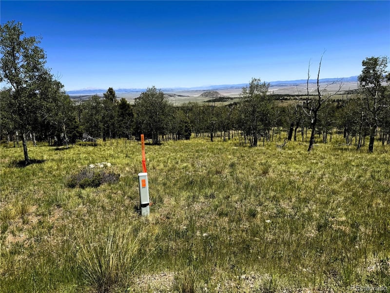 144 Kaufman Ct Lot 1213, Hartsel, CO 80449