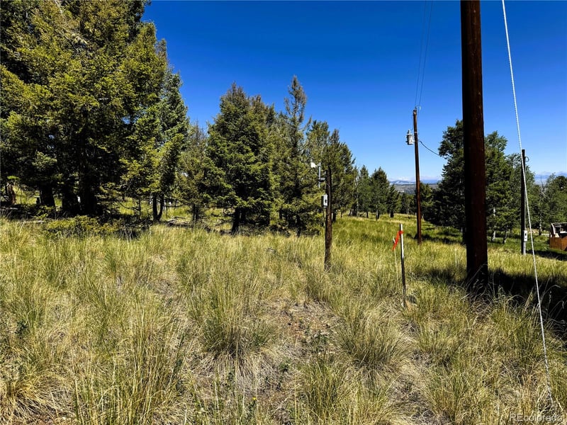 110 Kaufman Ct Lot 1214, Hartsel, CO 80449