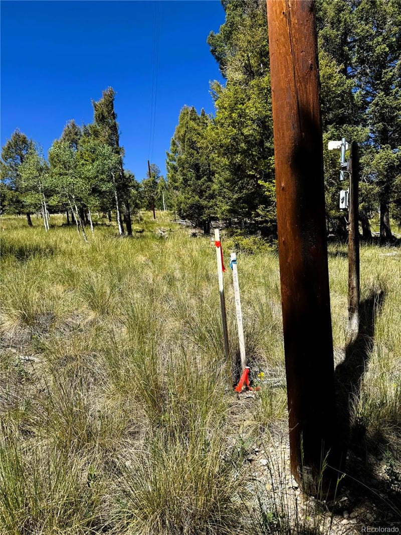 110 Kaufman Ct Lot 1214, Hartsel, CO 80449