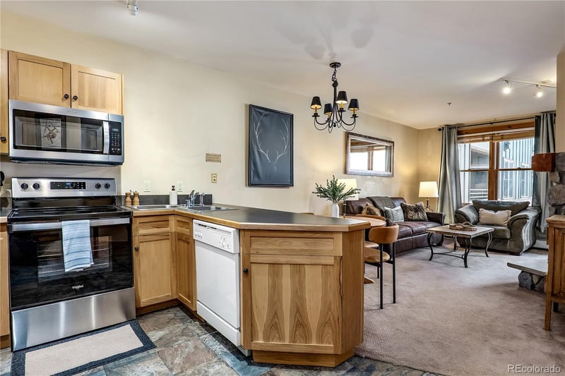 100 Dercum Sq #8343, Dillon, CO 80435