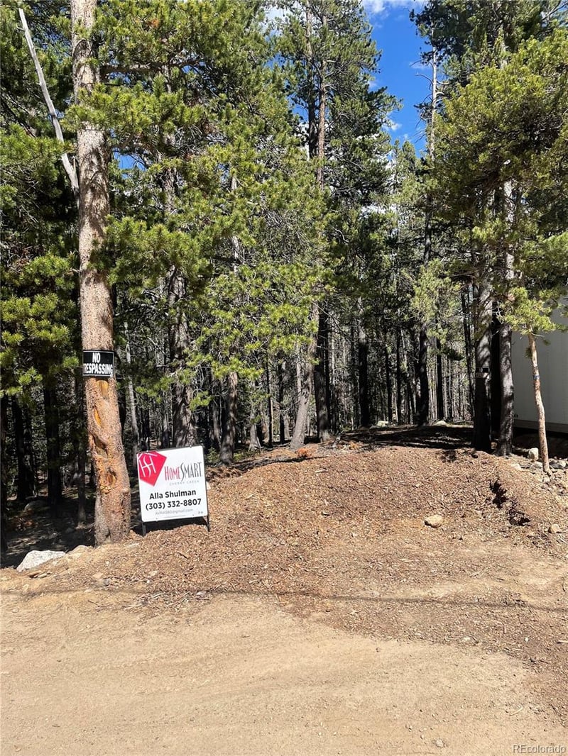 000 Silver Creek Rd, Idaho Springs, CO 80452