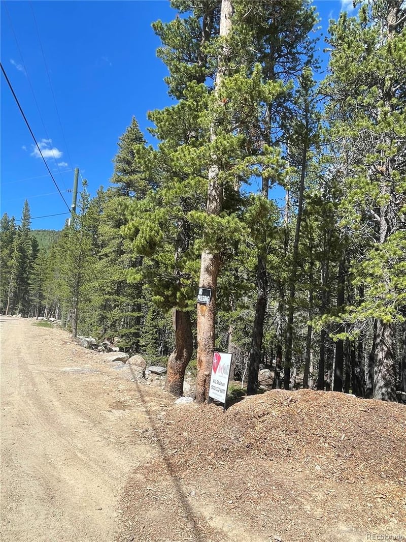 000 Silver Creek Rd, Idaho Springs, CO 80452