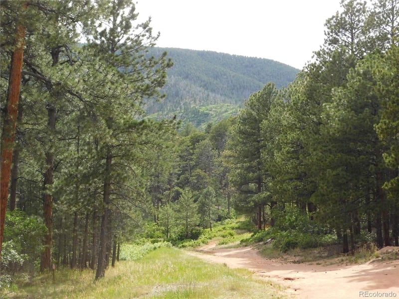 8356 Quivas Rd, Larkspur, CO 80118