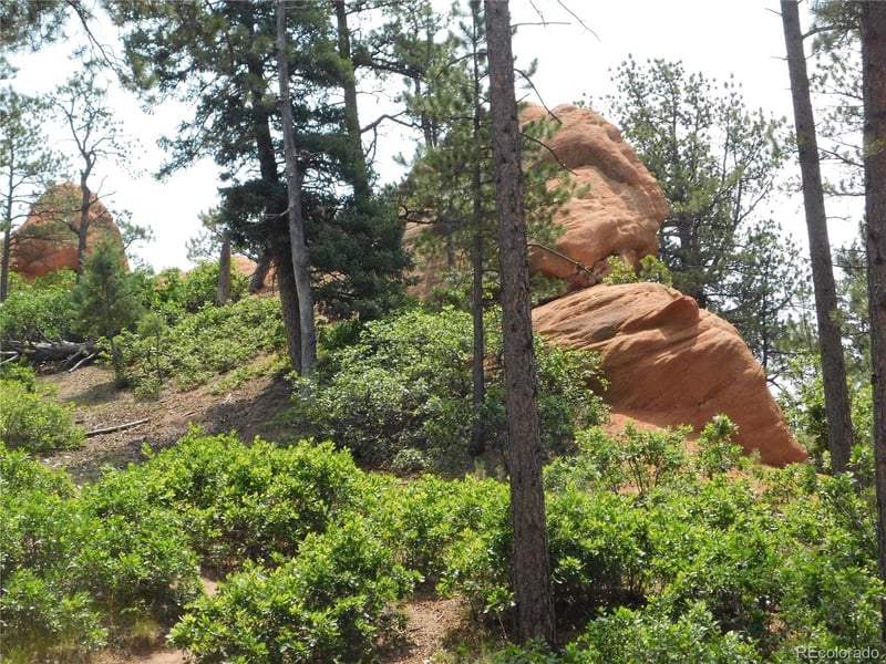 8356 Quivas Rd, Larkspur, CO 80118