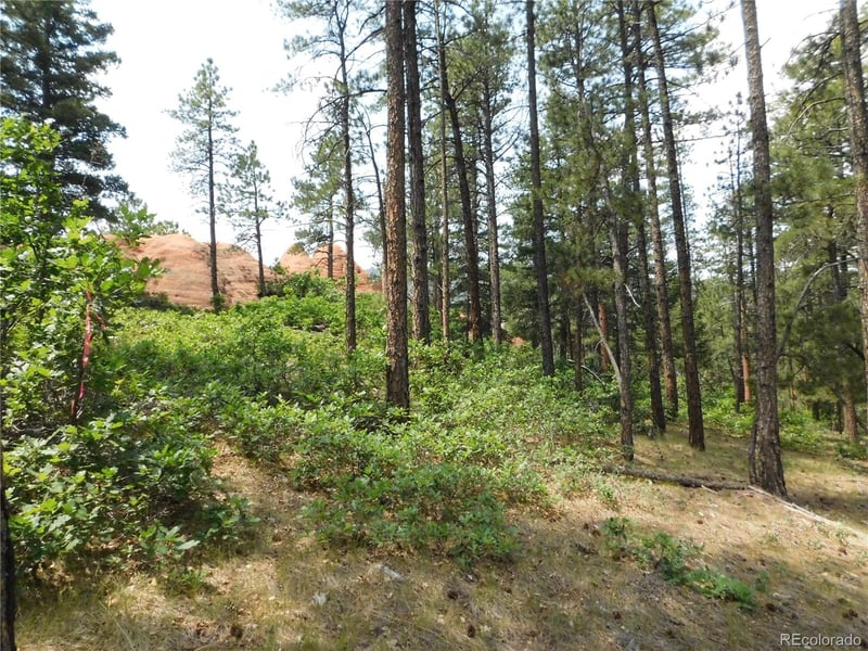 8356 Quivas Rd, Larkspur, CO 80118
