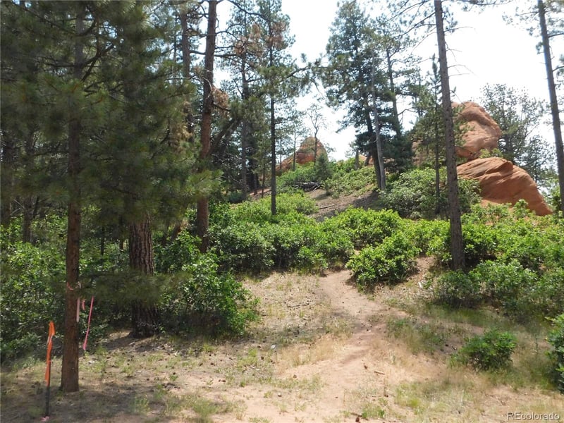 8356 Quivas Rd, Larkspur, CO 80118
