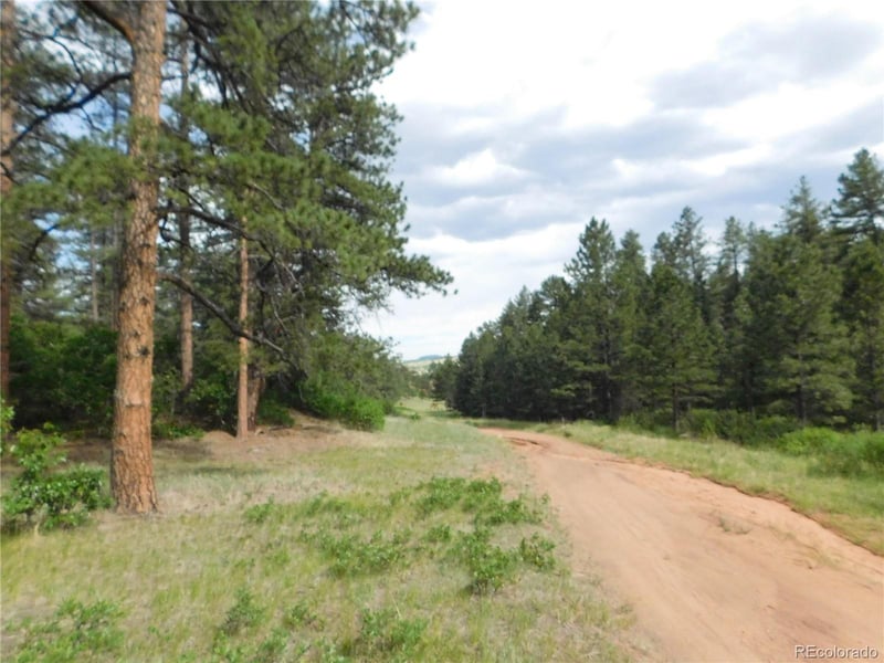 8202 Bannock Dr, Larkspur, CO 80118