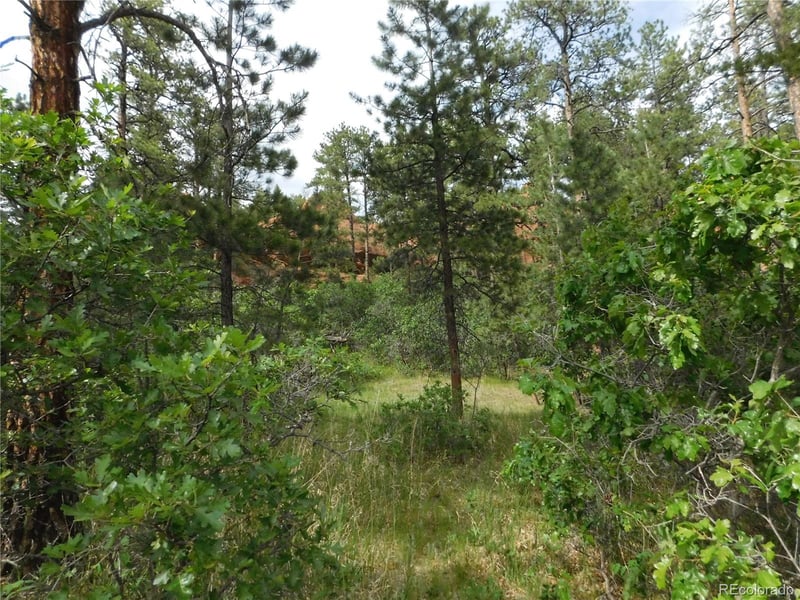 8202 Bannock Dr, Larkspur, CO 80118
